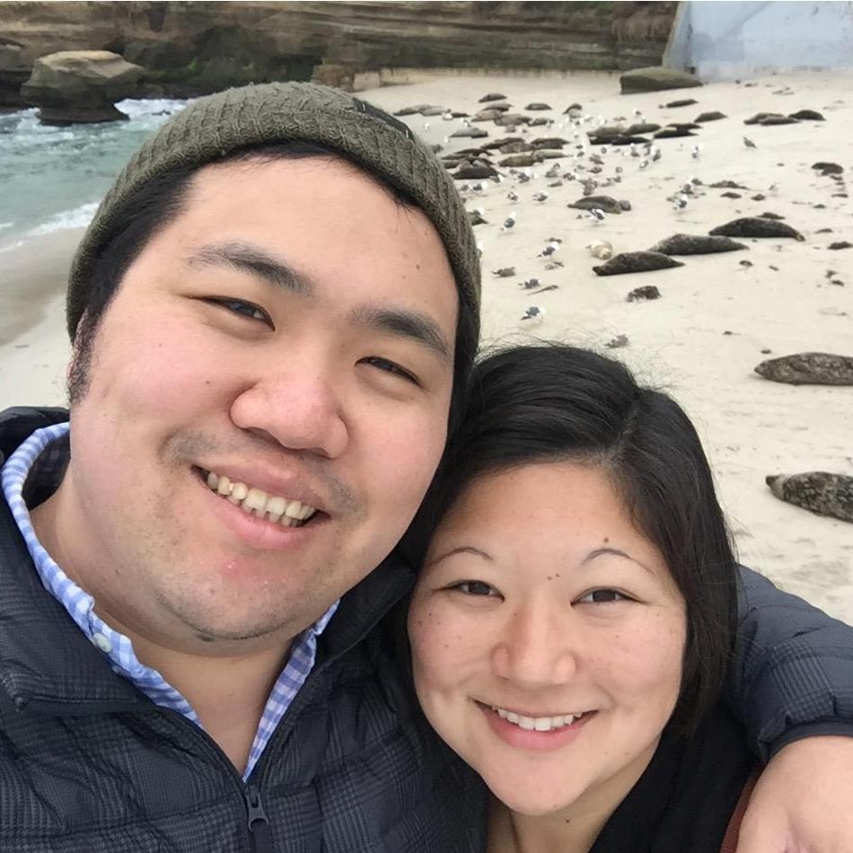 Our first trip to San Diego. Checking out the seals at La Jolla Cove.
