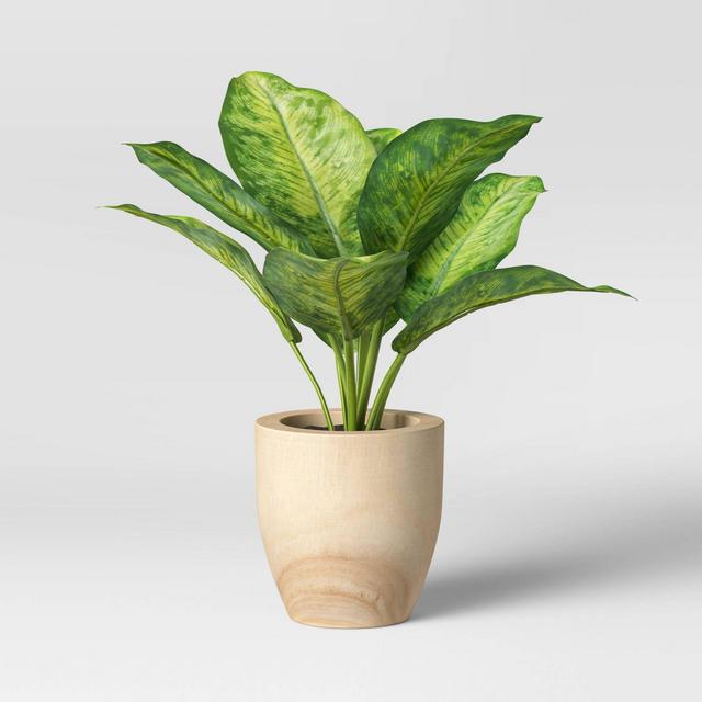 Small Variegated Leaf in Wood Pot - Threshold™