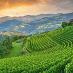 Valle Isarco and Valle dell’Adige