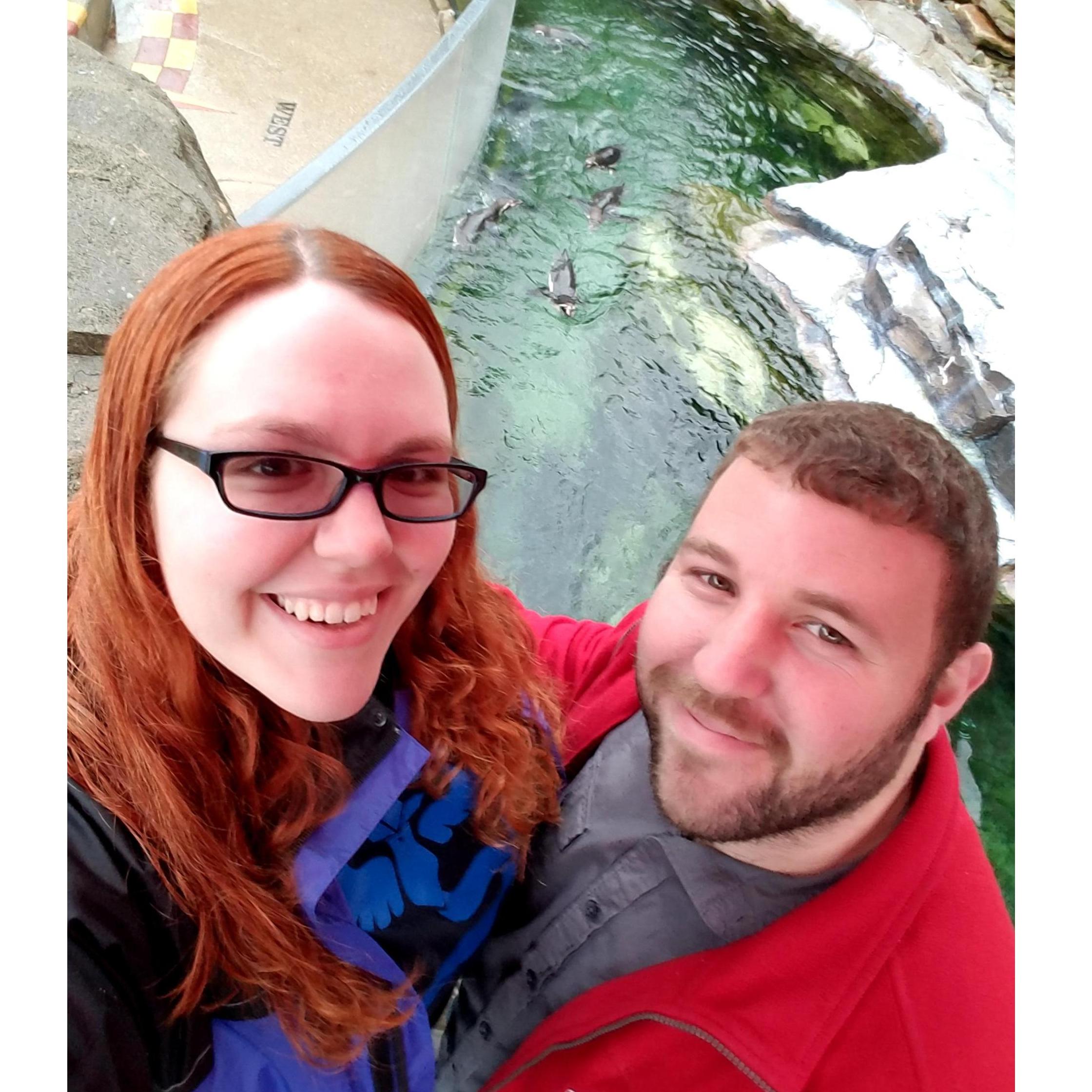Posing with the penguins at one of our favorite Zoo's- The Akron Zoo!