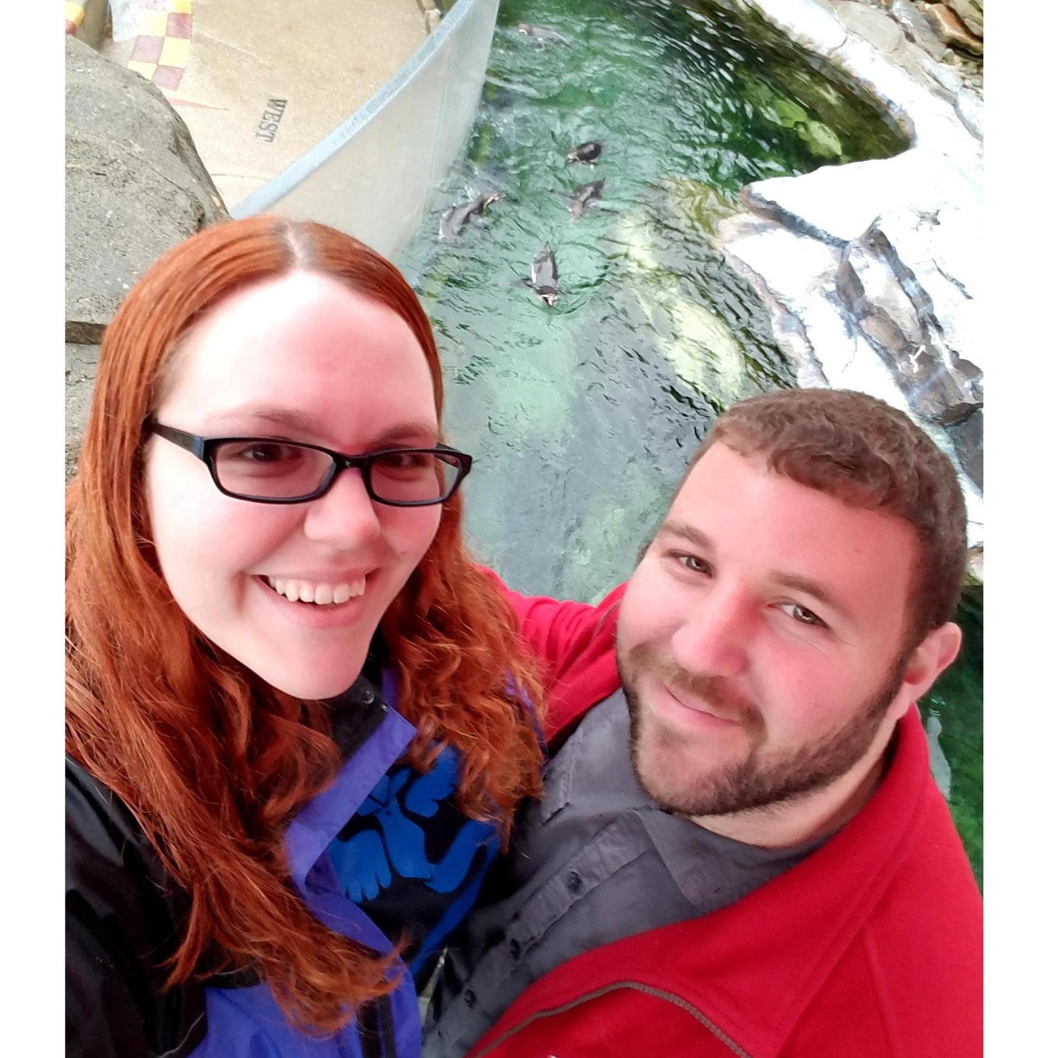 Posing with the penguins at one of our favorite Zoo's- The Akron Zoo!