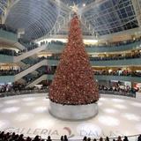 Galleria Dallas