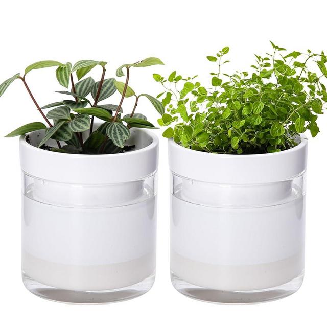 Phoenix Vine 4 Inch Self Watering Planter, White Terracotta Clay Pot with Glass Reservoir for Indoor Plants, Herbs, Flowers, Set of 2, 52-B-E-2