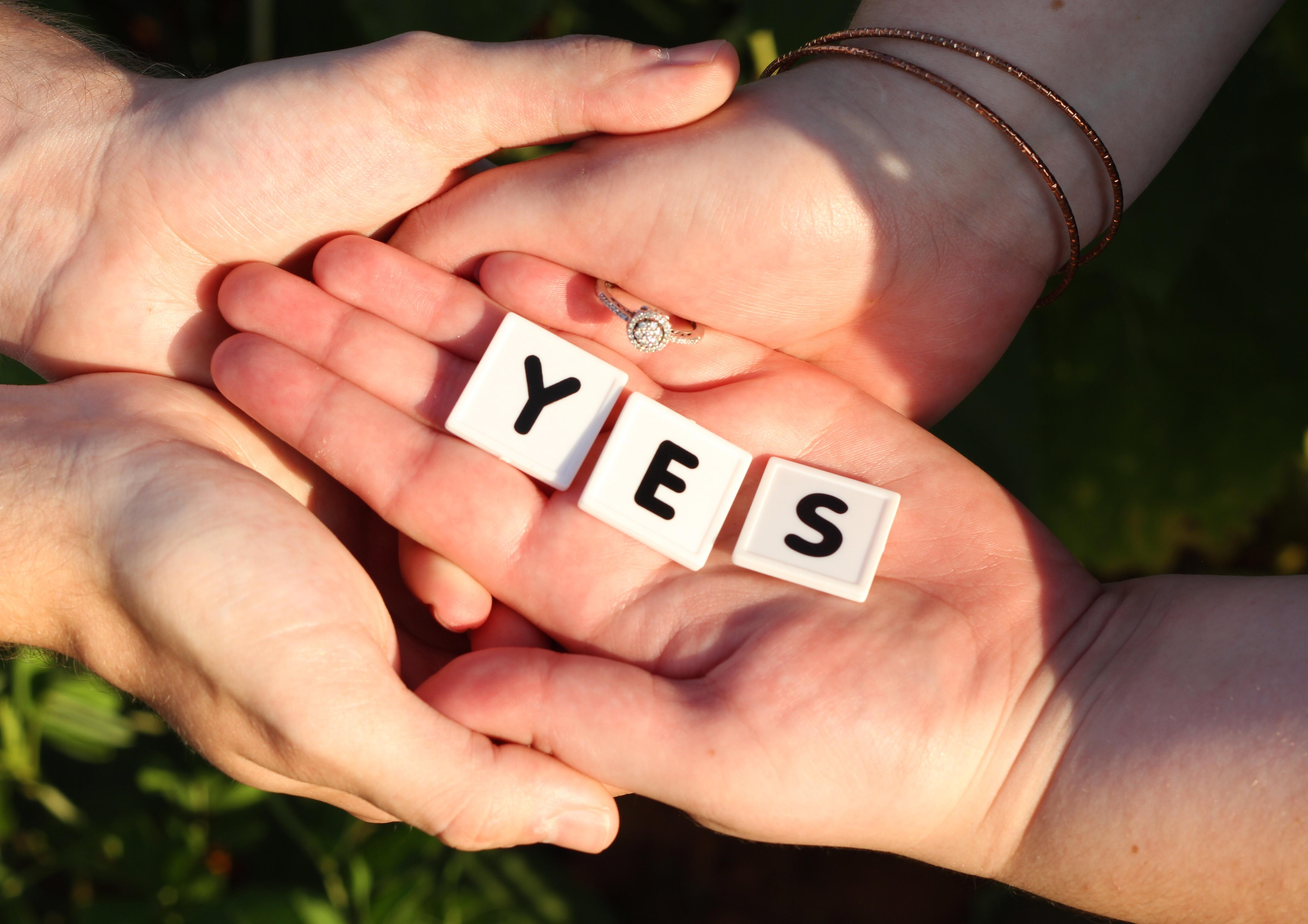 The Wedding Website of Gabrielle Wampler and Cole Fondersmith