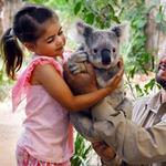 Currumbin Wildlife Sanctuary