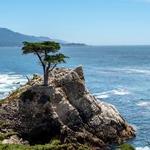 17-Mile Drive