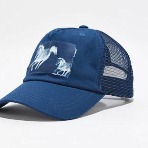 Blue Trucker Hat