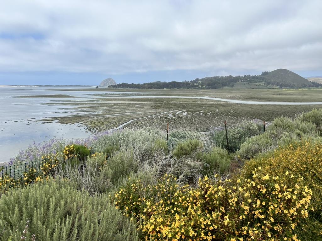 The Wedding Website of Thomas Meehan and Elizabeth Wagner