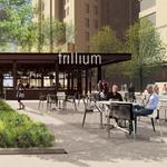 Trillium Brewing - Fenway