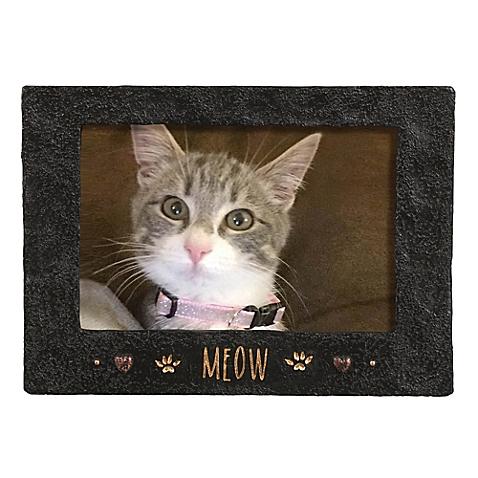 Grasslands Road™ 4-Inch x 6-Inch Cement Meow Picture Frame in Black