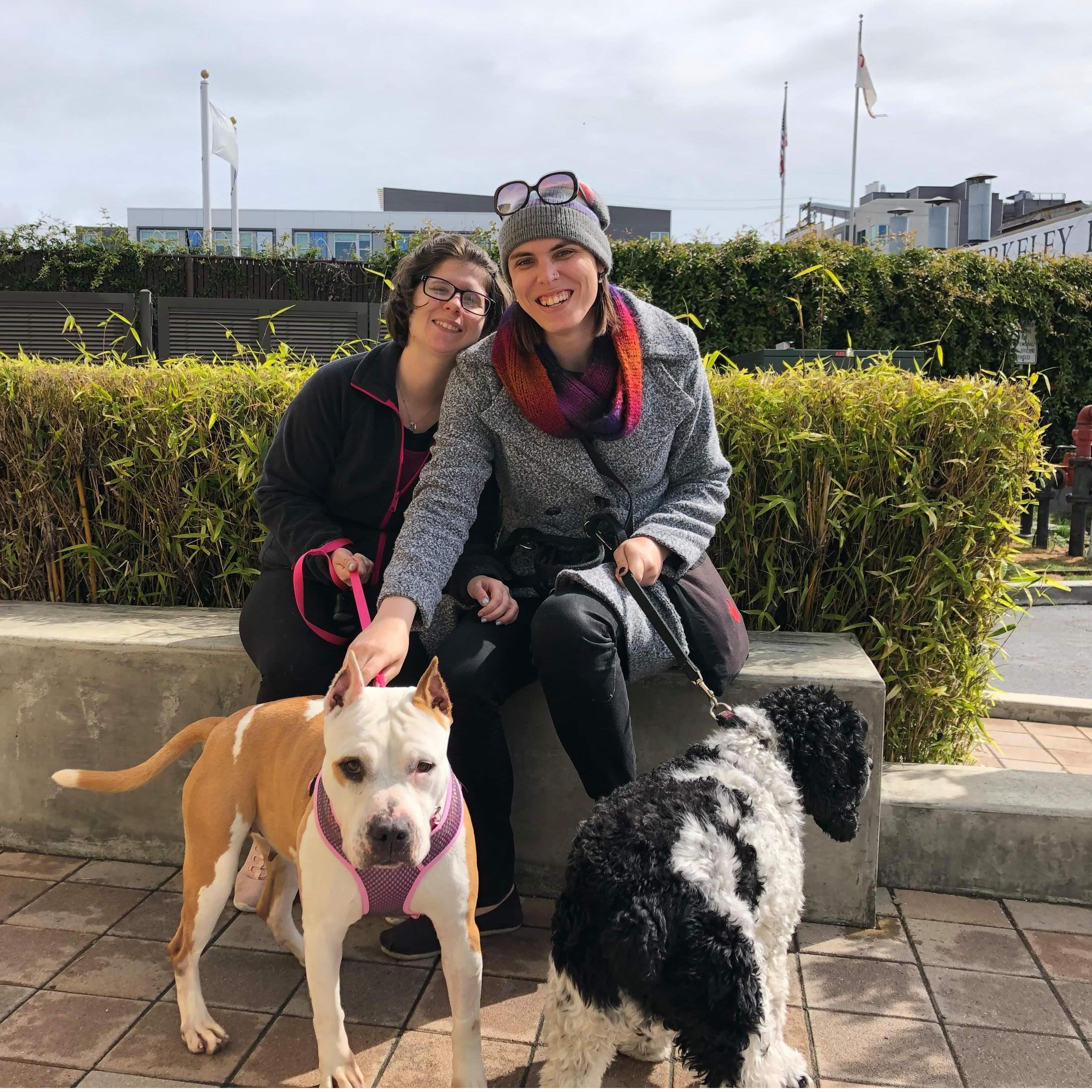 Adopting our third rescue baby Tofu!