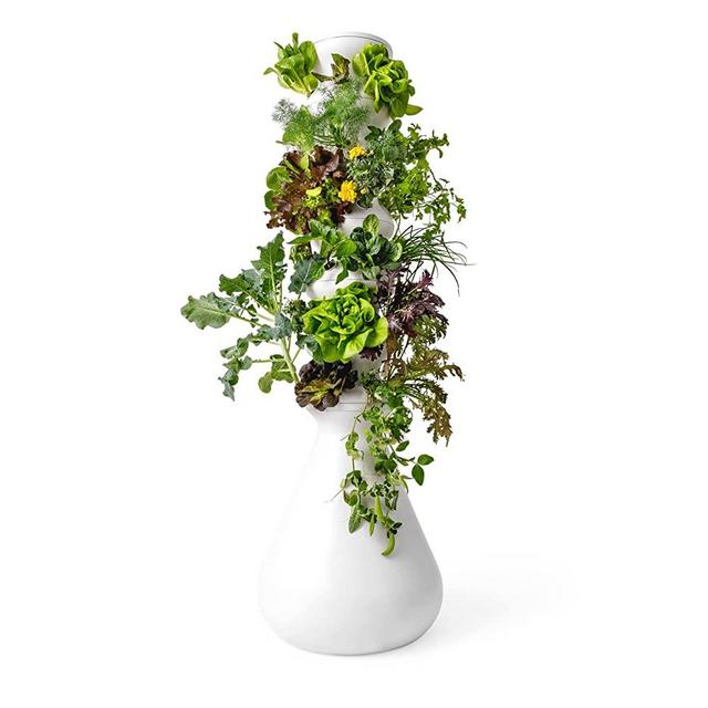Lettuce Grow 36-Plant Hydroponic Growing System Kit, Outdoor Indoor Vertical Garden Herb Vegetable Planter Tower, Large Home Organic Gardening with Self Watering with Pump, BPA Free and Food Grade