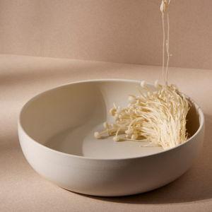 Ewa Stoneware Shallow Serving Bowl in White