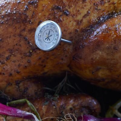 Open Kitchen by Williams Sonoma Instant Read Dial Thermometer