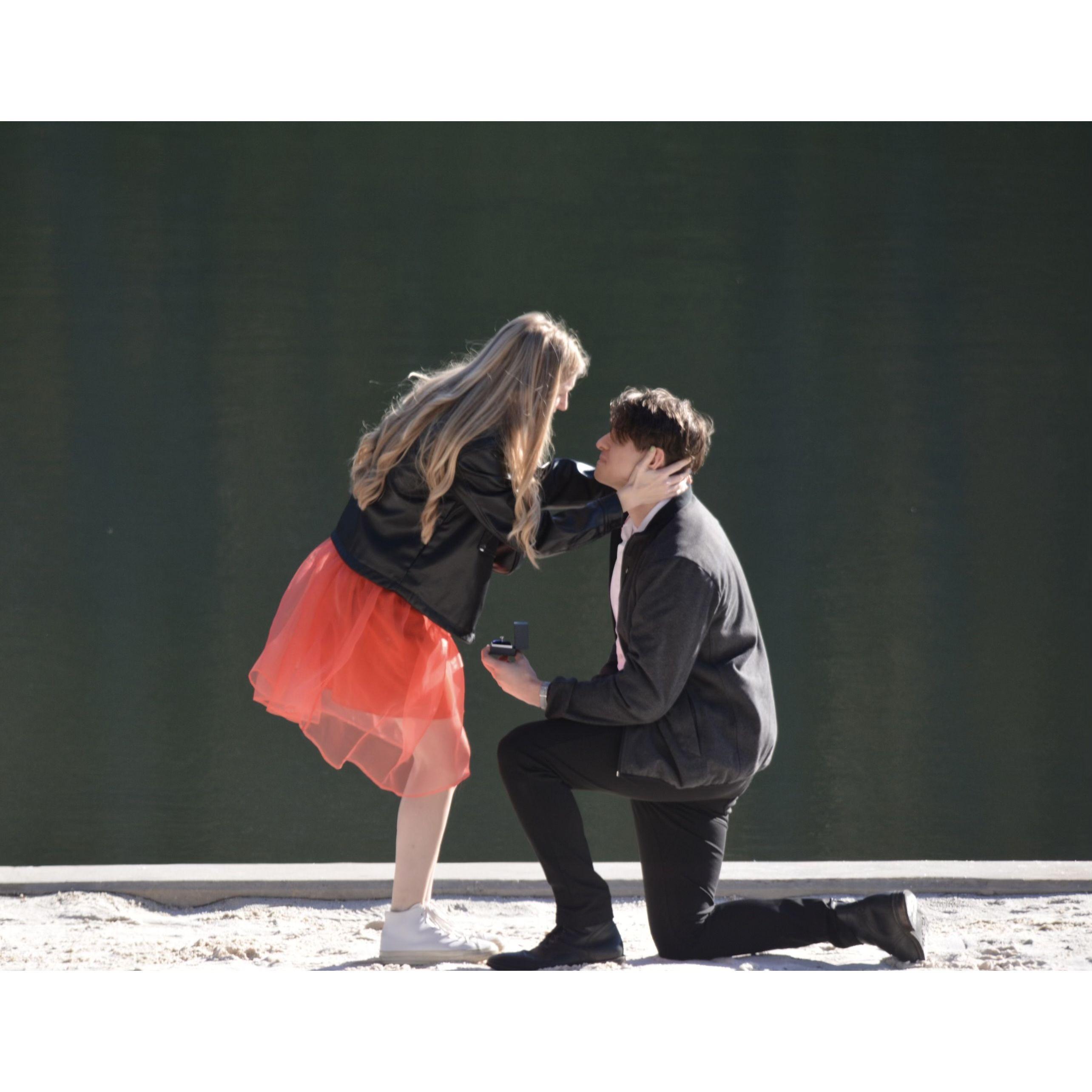 When Andrew popped the question! Uncle Jason was hiding in the bushes, ready to capture the moment :)