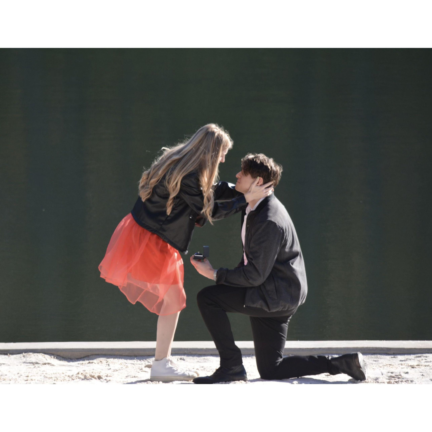 When Andrew popped the question! Uncle Jason was hiding in the bushes, ready to capture the moment :)