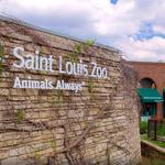 Saint Louis Zoo