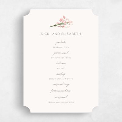 Pink Ticket Wedding Program - Allamia