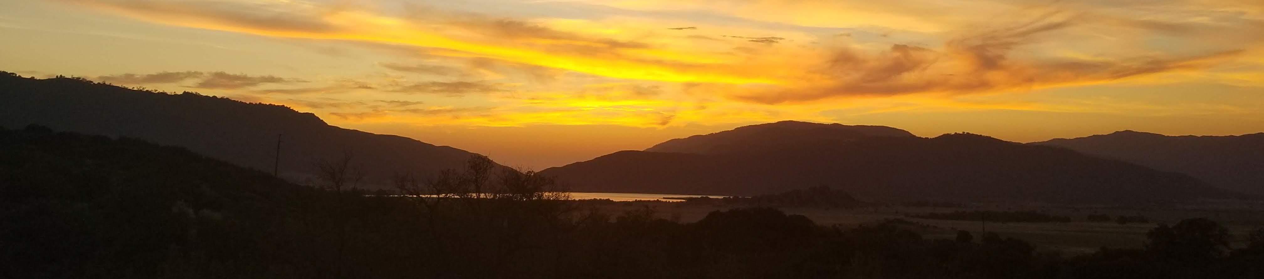 The Wedding Website of Kalyn Kelly and Stanley Shurson