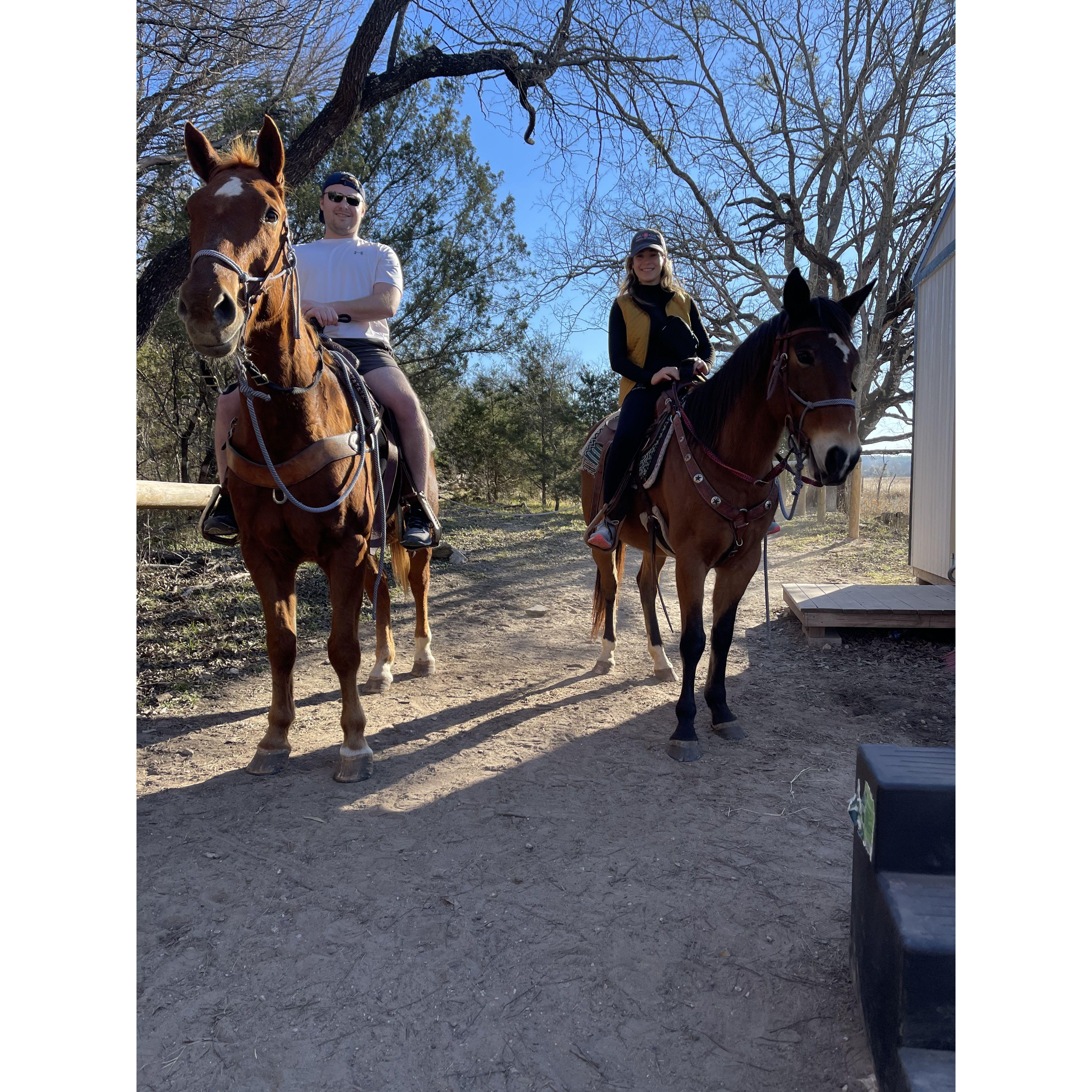 Horsing around (January 2023).