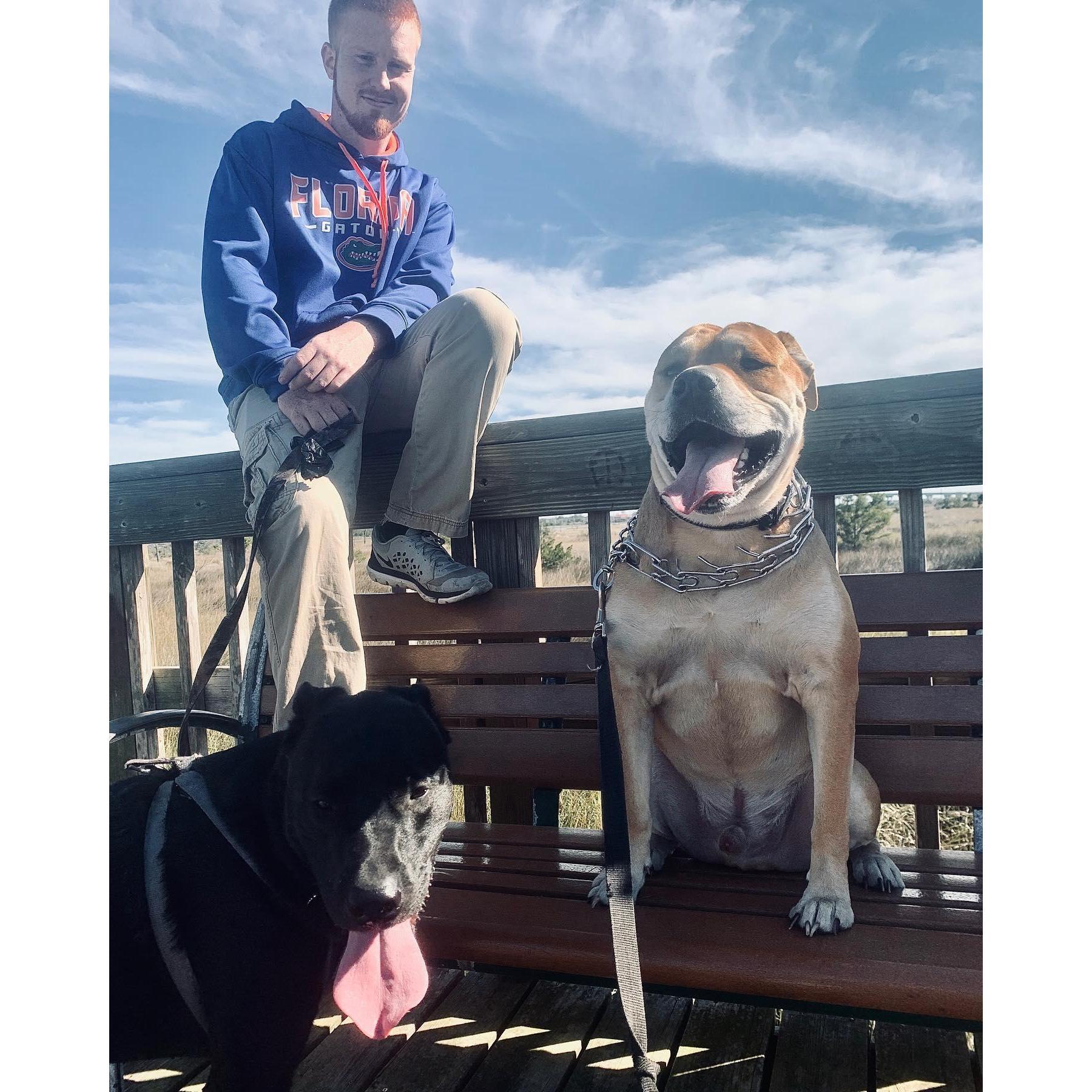 One of the many walks we have taken as a family