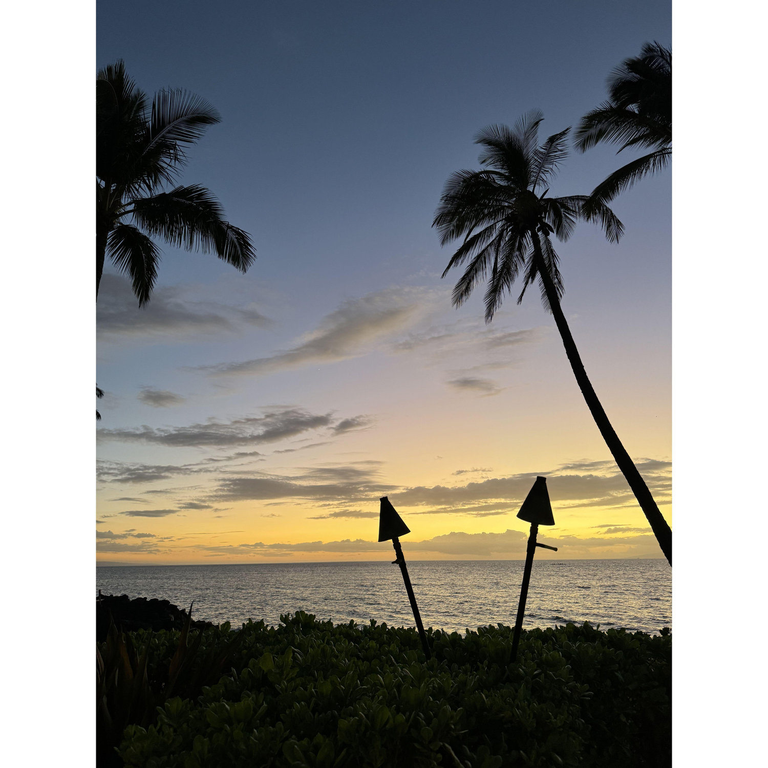 Please use the color of the Maui sky as your inspiration for the color you wear to the celebration