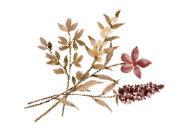 The Wedding Website of Lauren DiMaio and Brett Singley