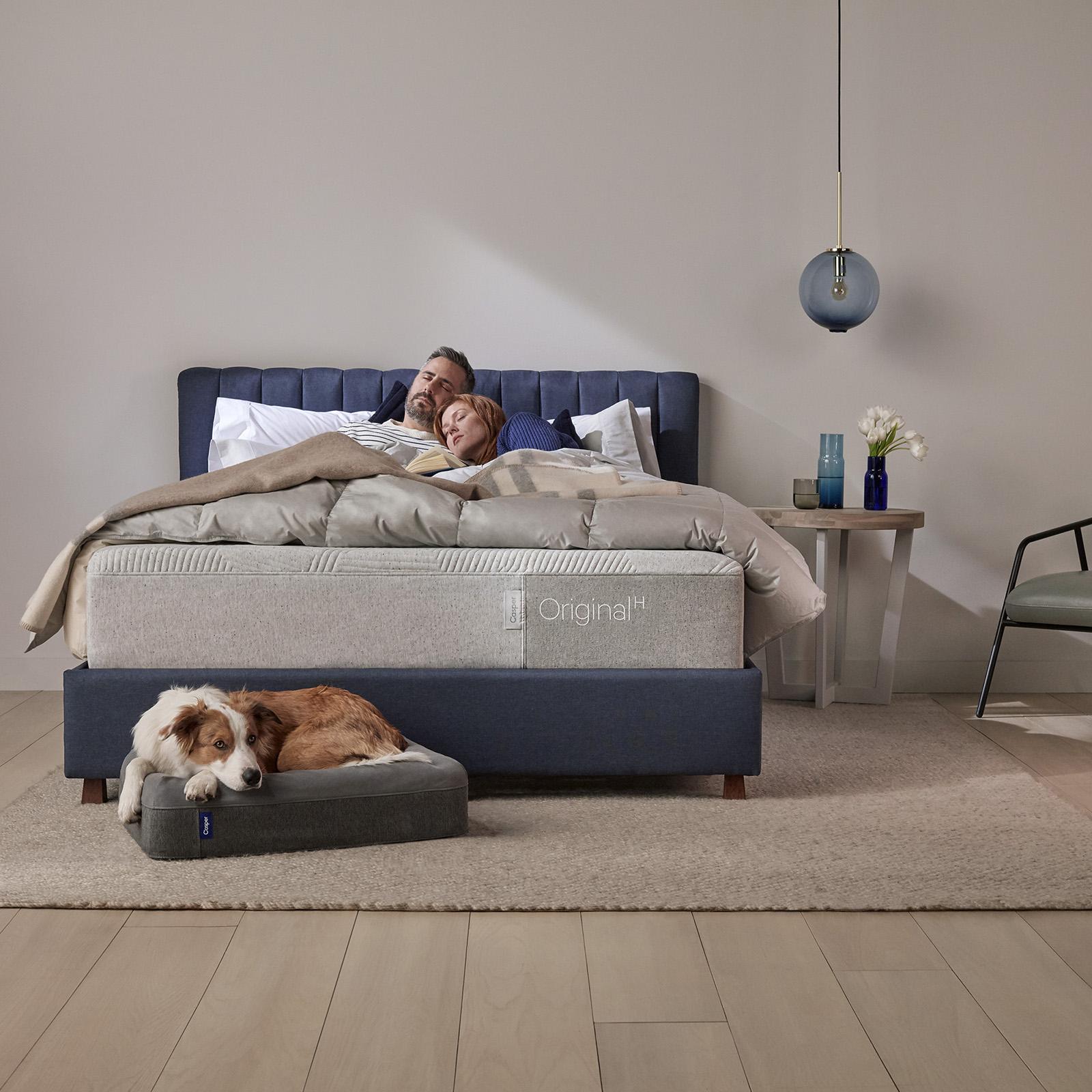 casper dog bed unboxing