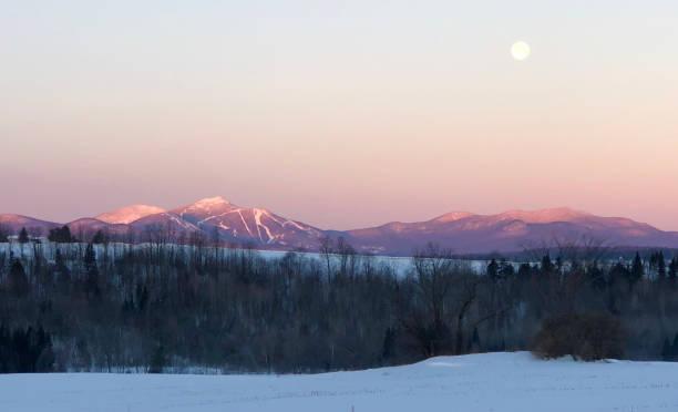 The Wedding Website of Hillary Havener and Steve Sarkisian