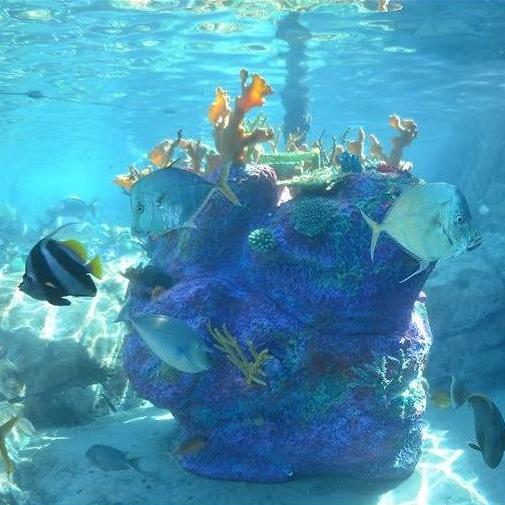 at the end we came to a man made coral reef, and thats where I found the box, you can sort of see it to the left side