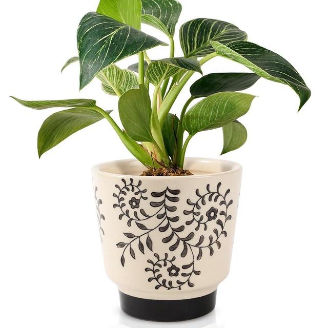 STHIE Indoor Ceramic Plant Pots with Drainage Holes 5 Inch Cute Succulent Flower Pots Small Orchid Planter Pots for Indoor Plants Garden Pots, Flower