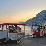 Ape Calessino Service