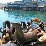 Old Fisherman’s Wharf