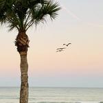 Anna Maria Island Beach!