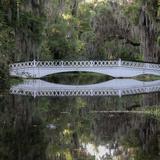 Magnolia Plantation and Gardens