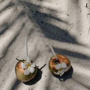 Buy us a Coconut on our Honeymoon