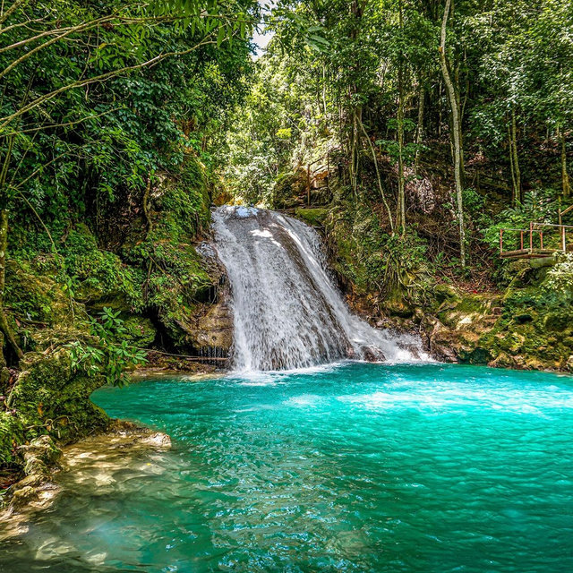 Waterfall Excursion in Jamaica