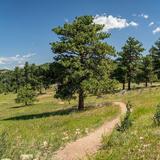 Mount Falcon Park