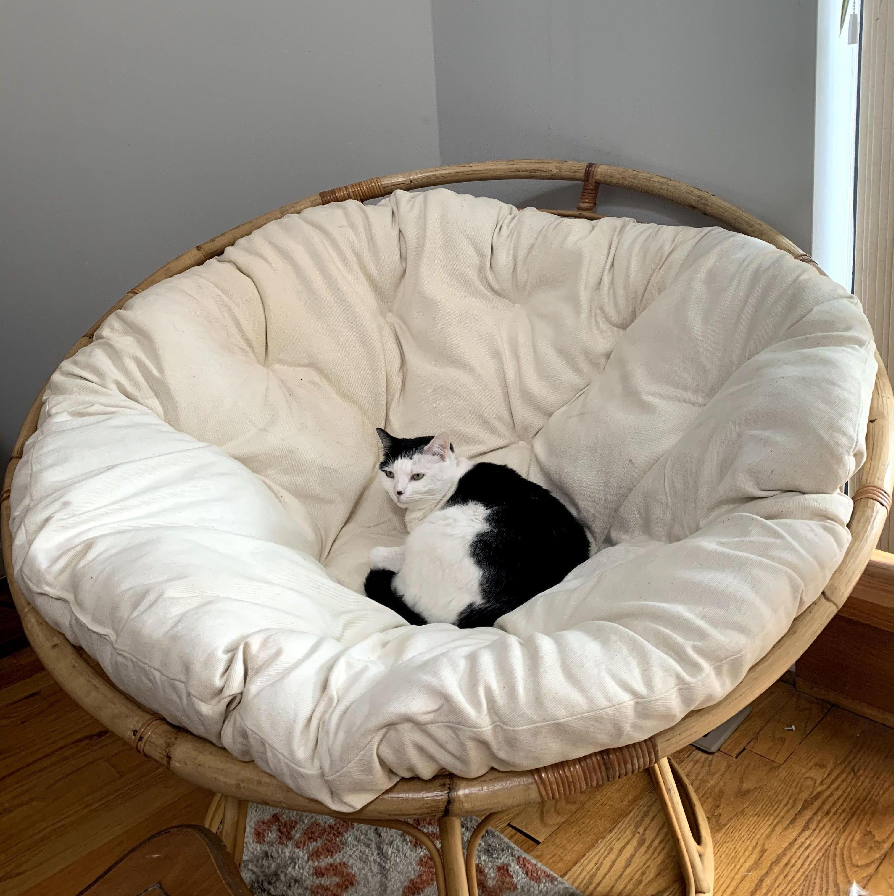 "If I fits; I sits"