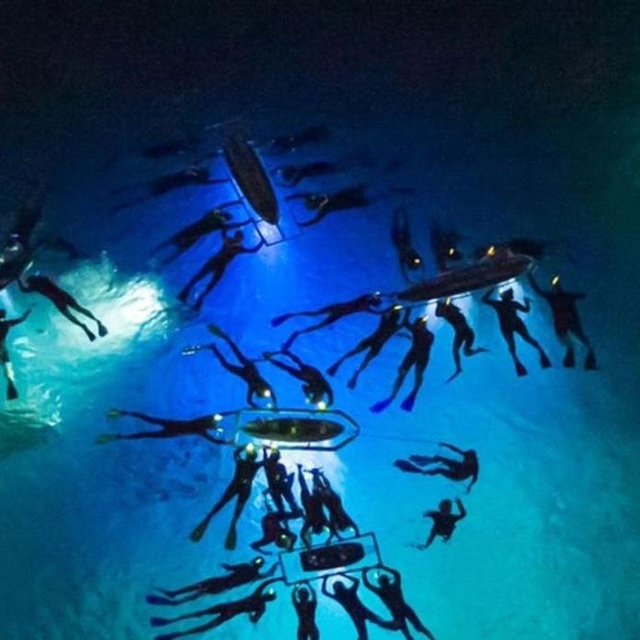 Manta Ray Night Snorkeling