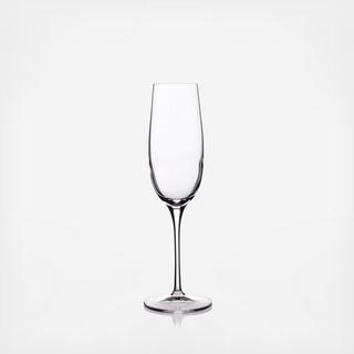 Crescendo Champagne Flute, Set of 4