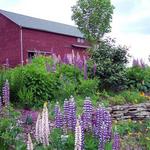 Landis Arboretum