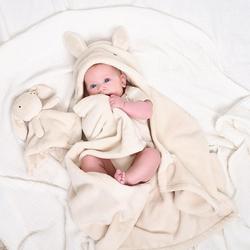 Gerber 2-Piece Bunny Hooded Blanket & Security Blanket Set