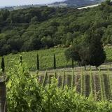 Castello di Banfi