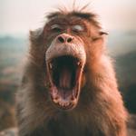 Jukani Wildlife Sanctuary