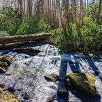 Bear Lake Reserve Hiking
