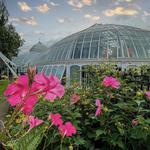 Phipps Conservatory and Botanical Gardens
