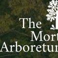 The Morton Arboretum