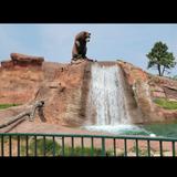 Bear Country USA