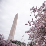 The National Mall